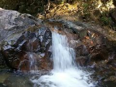 -九龙江国家森林公园