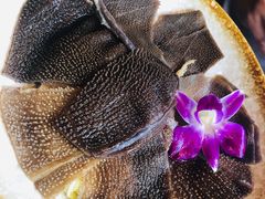 谭公脆毛肚-谭鸭血老火锅(漳州路店)