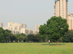 -山明水秀大饭店