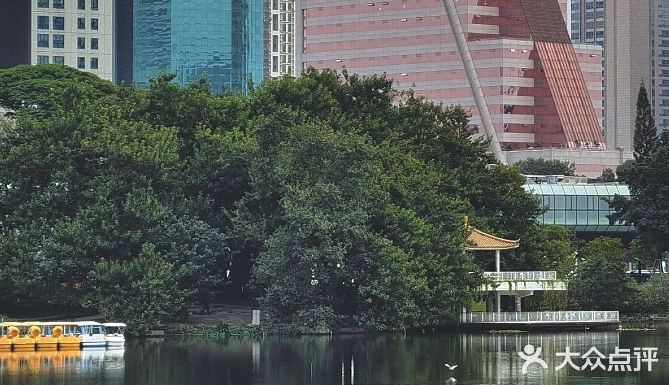 深圳游玩｜来荔枝公园打卡深圳超美水天辉映的建筑风光