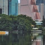深圳游玩｜来荔枝公园打卡深圳超美水天辉映的建筑风光