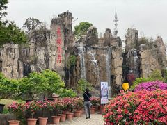 -秀丽东方