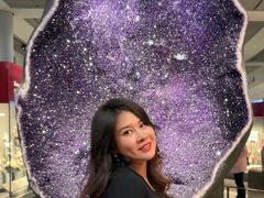 -美国自然历史博物馆
