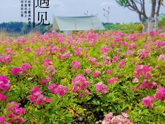 -仙海旅游度假区
