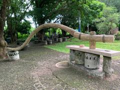 -海口火山口国家地质公园