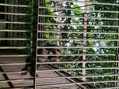 android_upload_pic-广东茂名森林公园