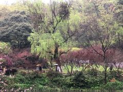 -岳麓山风景名胜区
