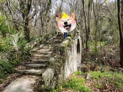 -青龙山国家森林公园
