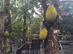 七仙岭君澜温泉度假酒店-七仙岭君澜度假酒店