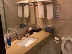 -格林东方酒店(淮南田家庵广场路店)