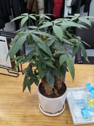 点击看大图 -藤野造型烫染·漂发