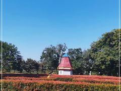 -东莞植物园