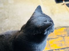 -IN COFFEE LAB 隐咖啡