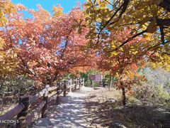 -北京十三陵国家森林公园蟒山景区