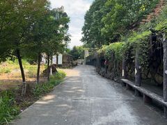 -磐安舞龙峡景区