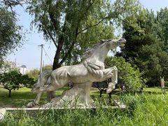 -莲花池公园