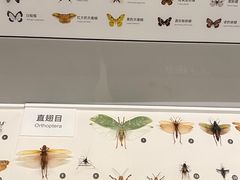 -四川大学博物馆