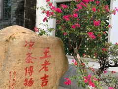 -广州神农草堂中医药博物馆