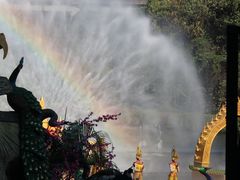 -西双版纳原始森林公园