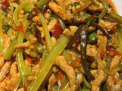 -陈麻婆豆腐总店