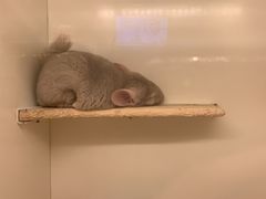 -龙猫仔乐园(惠福东路店)