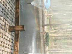 -合肥滨湖国家森林公园