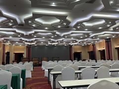 -电谷雅阁国际大酒店