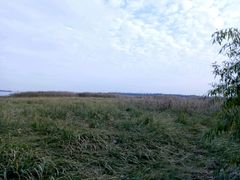 -吴淞炮台湾湿地森林公园烧烤区