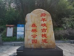 -羚羊峡古栈道森林公园