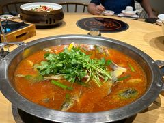 -老凯俚酸汤鱼(多彩城店)