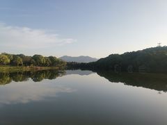 -福建鲤鱼洲酒店