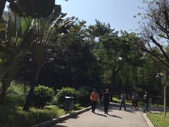 -晓港公园