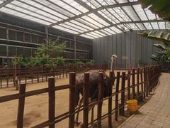 -呀路古热带植物园