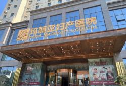 -玛丽亚妇产医院