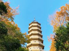 -灵谷景区