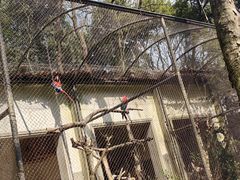 -杭州动物园