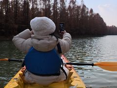 -上海海湾国家森林公园