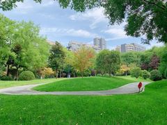 -唐城墙遗址公园