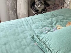 -派多格宠物·购宠(靛厂路店)