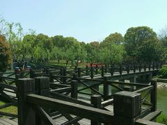 -上海鲜花港