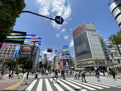 -涩谷全向十字路口