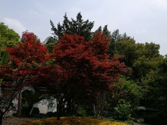 -汇龙潭