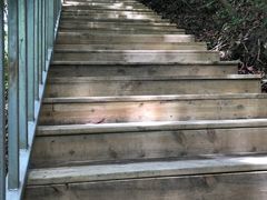 -龙湾潭国家森林公园