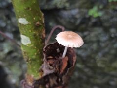 -夏霖九天银瀑风景区