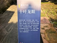 -碧江金楼