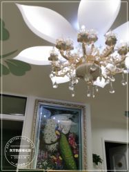 -东方凯丽·美容抗衰会所·菲比店