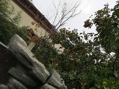 -大连金石滩绿发温泉假日酒店
