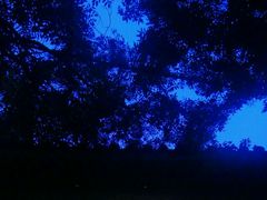 -南京夫子庙国际青年旅舍(平江府路店)