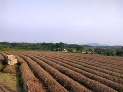 -凤凰沟景区