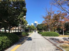 -学习谷日语培训日本留学·多语种外语教学(西单宣武分部)